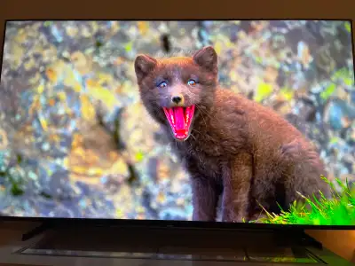 Hisense 65 inch R63N Roku tv, View more