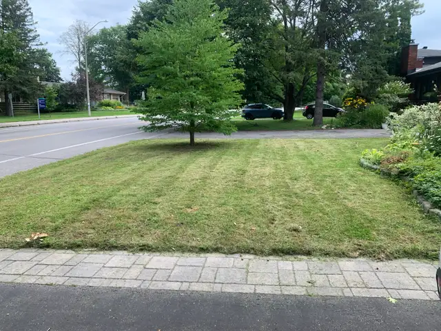 Yard Work561546771154882564