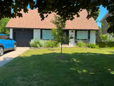 House for rent