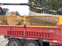 Bois Franc pour moulin a scie