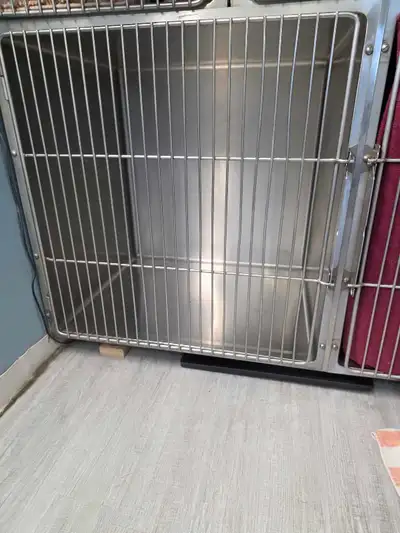 3 stainless steel kennels, View more
