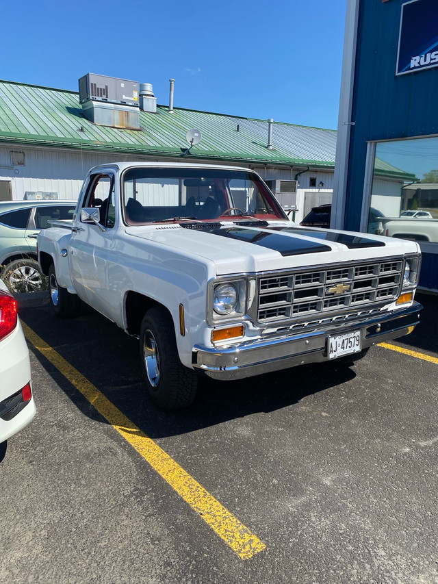 1978 chev c10 in Cars & Trucks in Napanee - Image 2