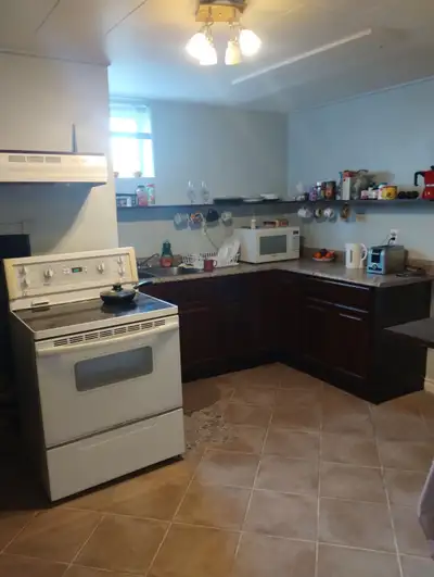 Large 1 bedroom apartment, NO pets, Wood heat and water included. Large yard must enjoy gardening as...