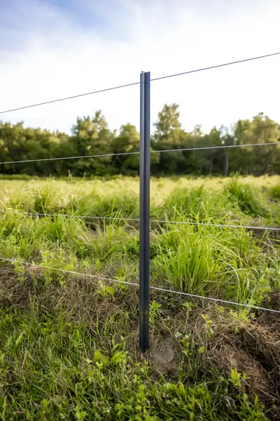 Self-insulating Plastic Electric Fence Post for High Tensile Electric Wire - Length: 1 5/8", Width:...