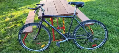 Raleigh Tarantula bike, View more