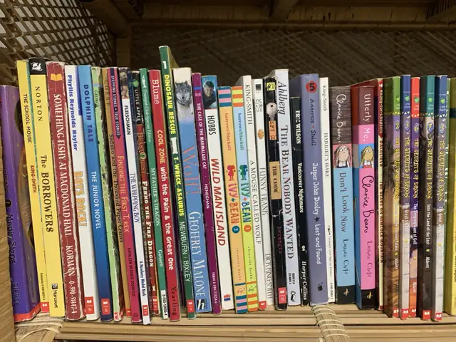 Children's Novels and Chapter Books, Over 100! in Children & Young Adult in Kingston - Image 8