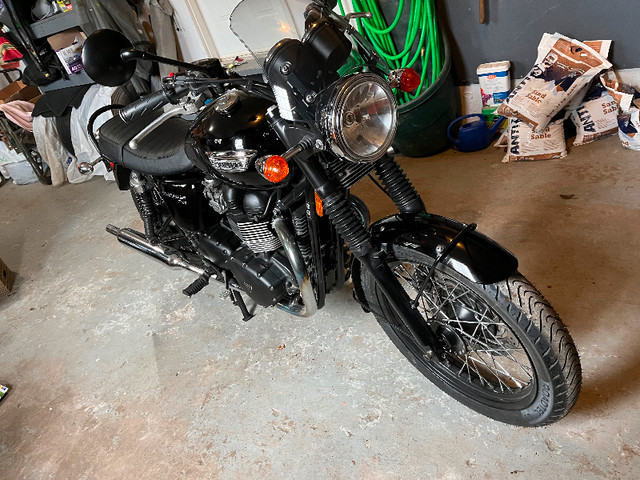 2016 Triumph Bonneville T100 in Street, Cruisers & Choppers in Dartmouth - Image 2