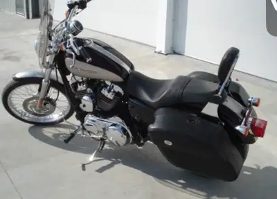 1200 custom.. Great bike, low mileage.
