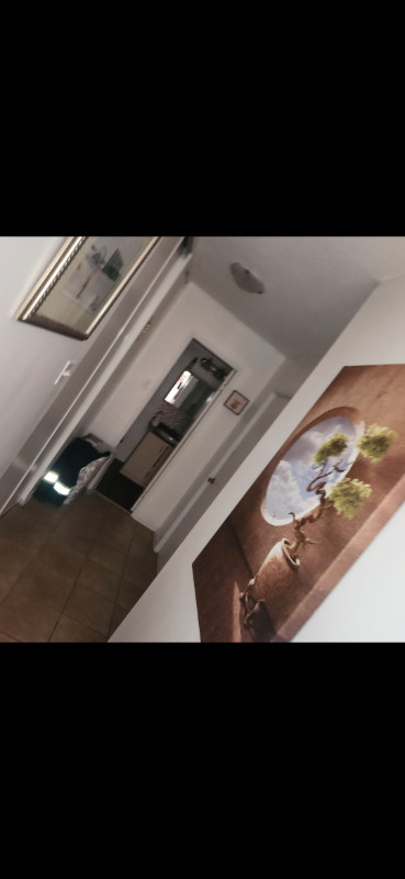 Room for rent in Apartment (LGBTQ+) in Room Rentals & Roommates in City of Toronto - Image 4