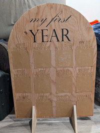 My First Year Photo Board - Price Reduced 