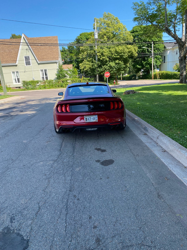 2020 pp2, roush super charger in Cars & Trucks in Summerside - Image 4