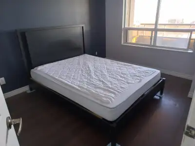 1 Private Bedroom Available, large windows and walk in closet. Share kitchen and bathroom with owner...