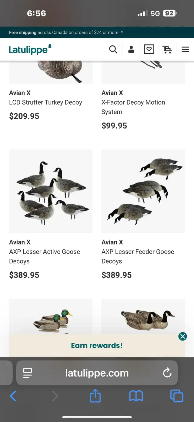Avian X Goose Decoys AXP per dozen in Fishing, Camping & Outdoors in Ottawa - Image 3