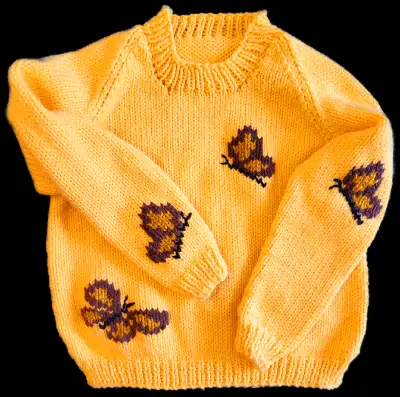 "Butterflies are Free" 3-4 yrs  Pullover, View more