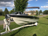 16v fiberglass boat with trailer and 25hp motor 