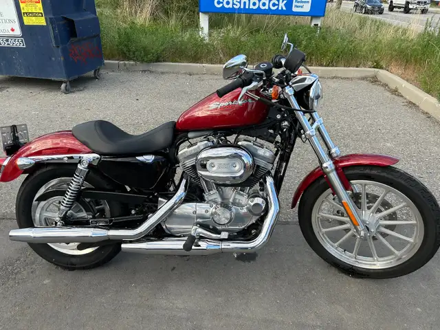 2007  Harley Davidson Sportster xl883 in Street, Cruisers & Choppers in Kelowna - Image 4