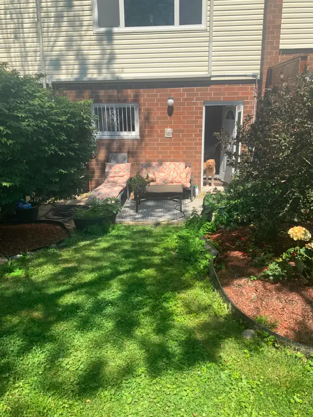 Looking for roommate (town house) - North End Halifax in Room Rentals & Roommates in City of Halifax - Image 10