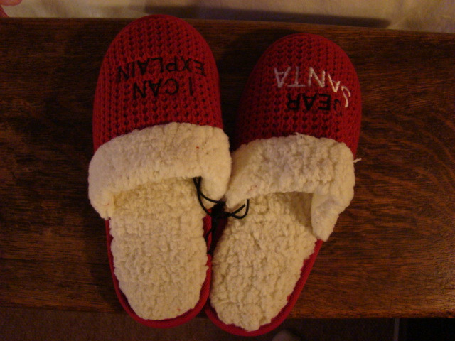 New Dear Santa I Can Explain Slippers in Women's - Shoes in Campbell River - Image 3
