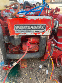 Westerbeke  generator
