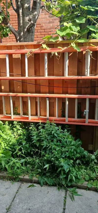 2 Werner Fibre glass ladders, View more