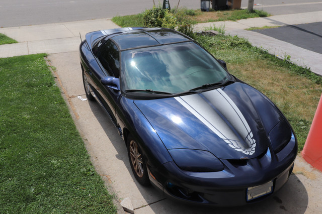 2002 PONTIAC FIREBIRD TRANS AM 5 SPEED MANUAL /T-ROOFS VINTAGE in Cars & Trucks in Mississauga / Peel Region