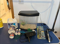 Small fish tank and all accessories 