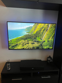 47” LG TV with Sanus Wall Mount