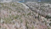 34 Acres of Land in Northern Ontario! Only 5 Hours From the GTA!