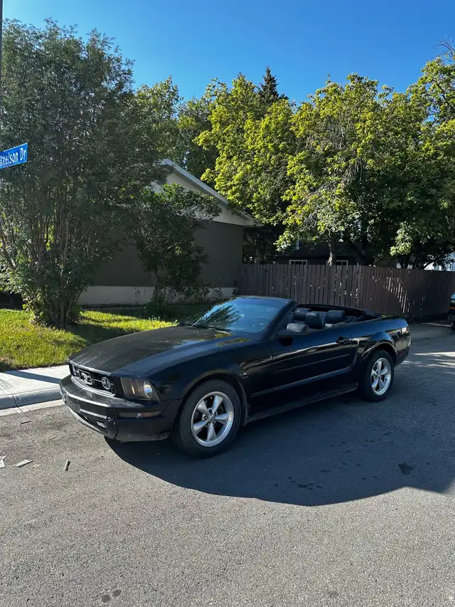 2008 Ford Mustang 