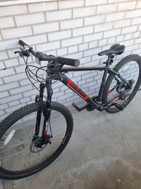 Raleigh Trailblazer Hardtail Mountain Bike 29_in Black/Red