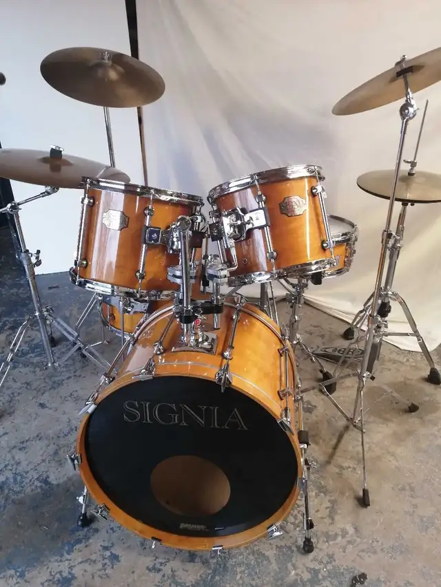 Vintage Premier maple Drums in Drums & Percussion in Hamilton - Image 2