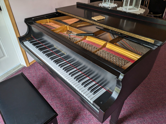 Piano Tuning and Repair in Pianos & Keyboards in Winnipeg - Image 2