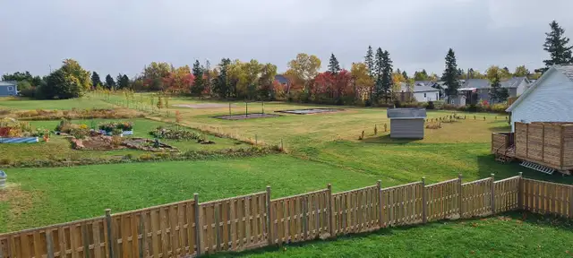 Rent House in Long Term Rentals in Charlottetown - Image 6