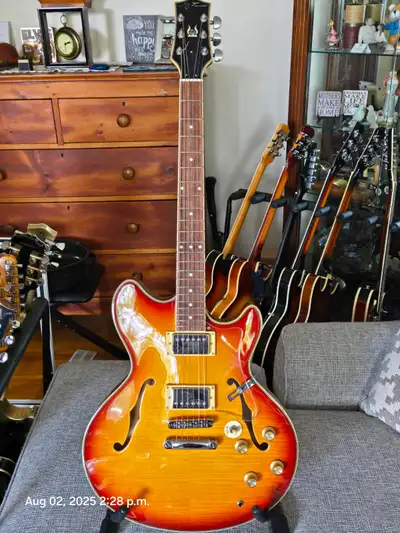 jay turser in Guitars in Ontario | Kijiji Marketplaces