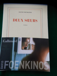 Quatre (4) AUTRES bons romans de David FOENKINOS à $2.00 chacun