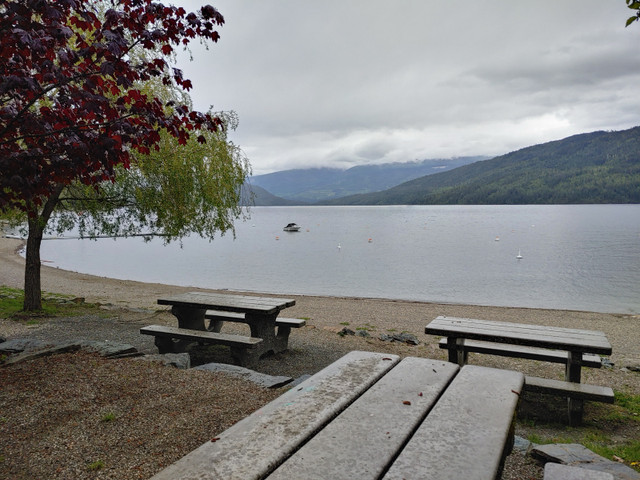 July 6 - 14, 2024. St Ives on Shuswap Lake, British Columbia  in British Columbia - Image 2
