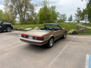 1981 Ford Mustang Ghia 