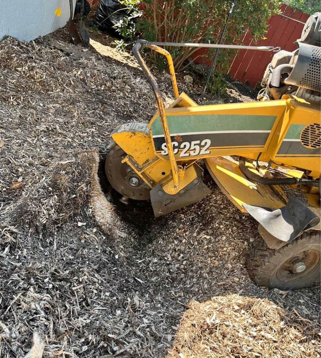 Stump grinding,  root removal,  grinder,  trailer moving  in Lawn, Tree Maintenance & Eavestrough in Edmonton - Image 2