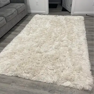 Wayfair Groover Solid Shag Area Rug, Ivory, View more