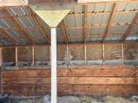 Two horse shelters