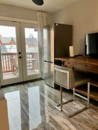 Tranquil 1Bed 1Bath Oasis Queen West Patio and Backyard