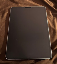iPad Pro 11 inch 3rd gen 256gbs