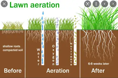 Aeration Wheel for lawns by GREEN SCOTT, View more