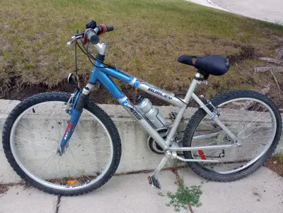 AMS Mountian Bike, everything works except the internal tube of rear tire need change. Asking $40