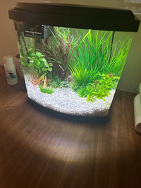 2.5 gallon acrylic aquarium