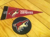 Phoenix Coyotes Mini Pennant and Logo Rubber Coaster