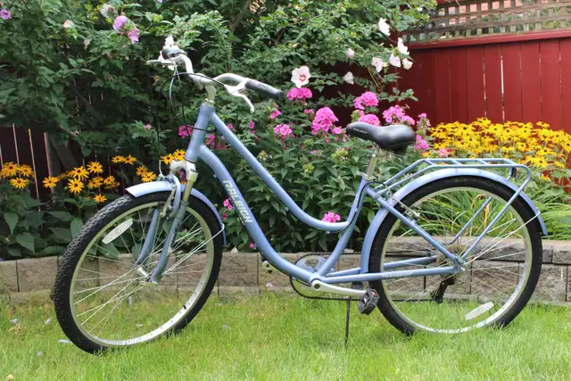 Women's Beautiful Cruiser / Comfort Bike "Raleigh" 7 Speed