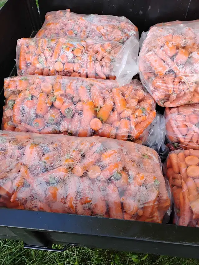 Carrots  for sale