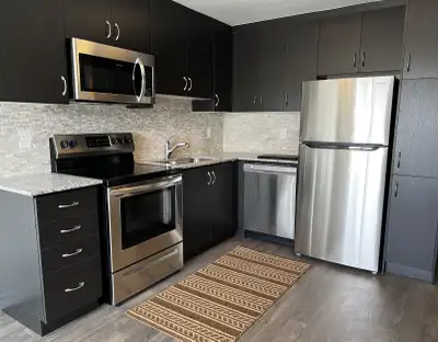 Furnished Bed room with washroom rent for single/double person at Condo Town House with sharing Livi...