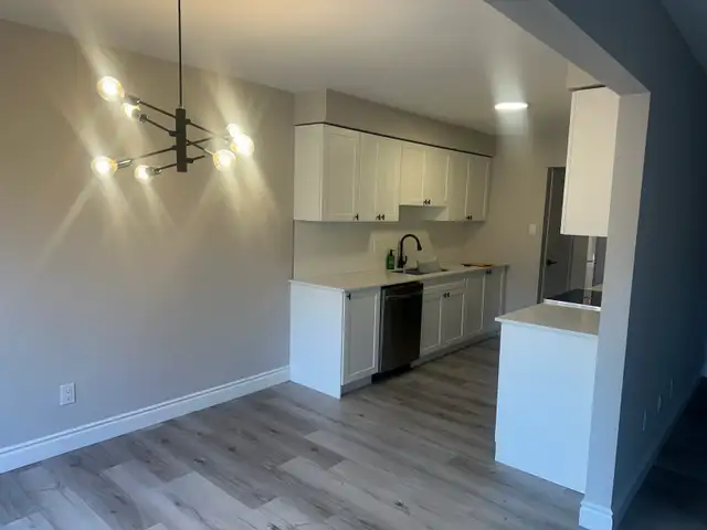 Painting and Staining Expert65561307554433123